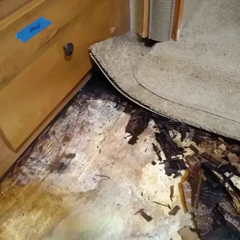 Wood Floor Water Damage in Clark County, AR